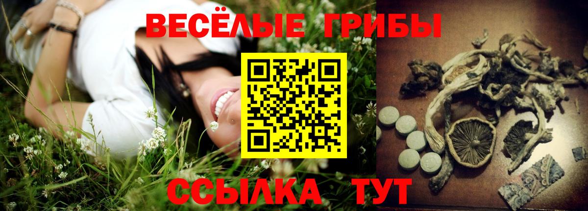 Галлюциногенные грибы Cubensis Коряжма
